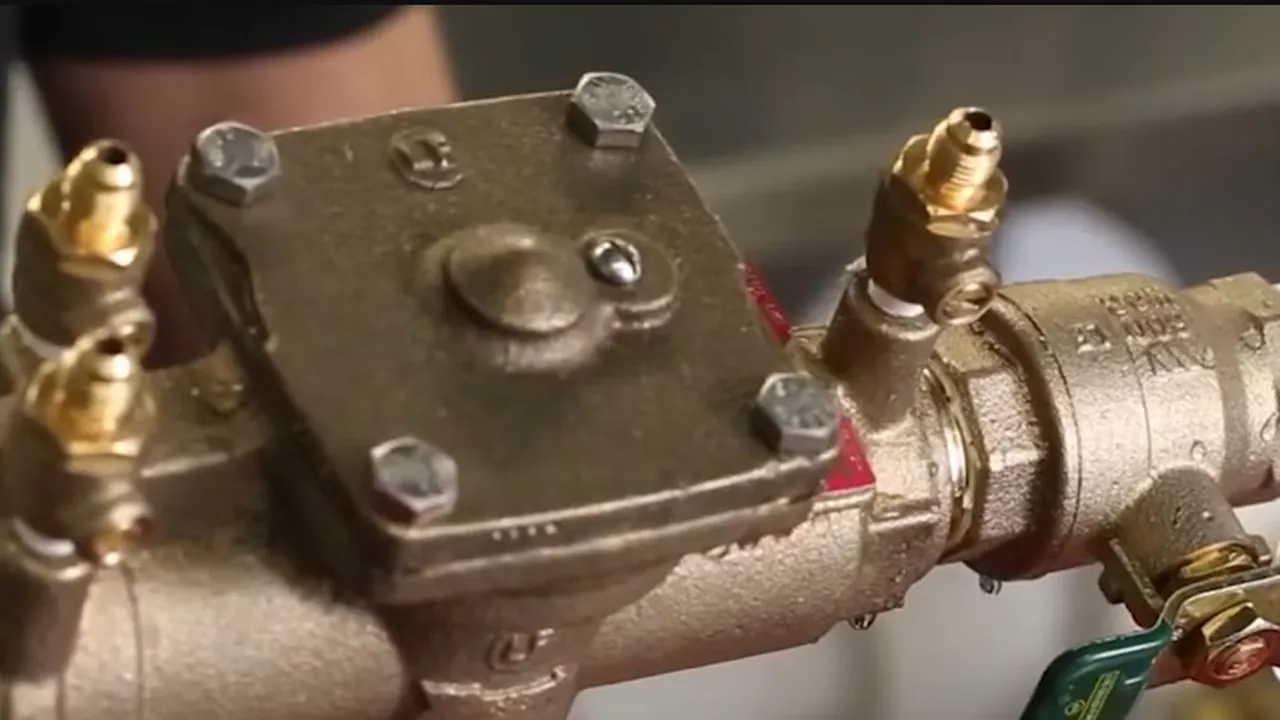 Bronze backflow preventer assembly with test ports and shutoff valves