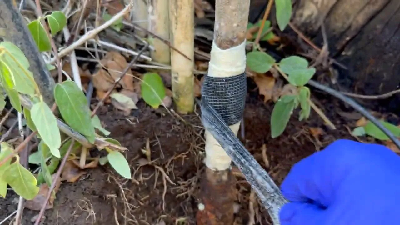 Gloved technician repairing an exposed underground water service line